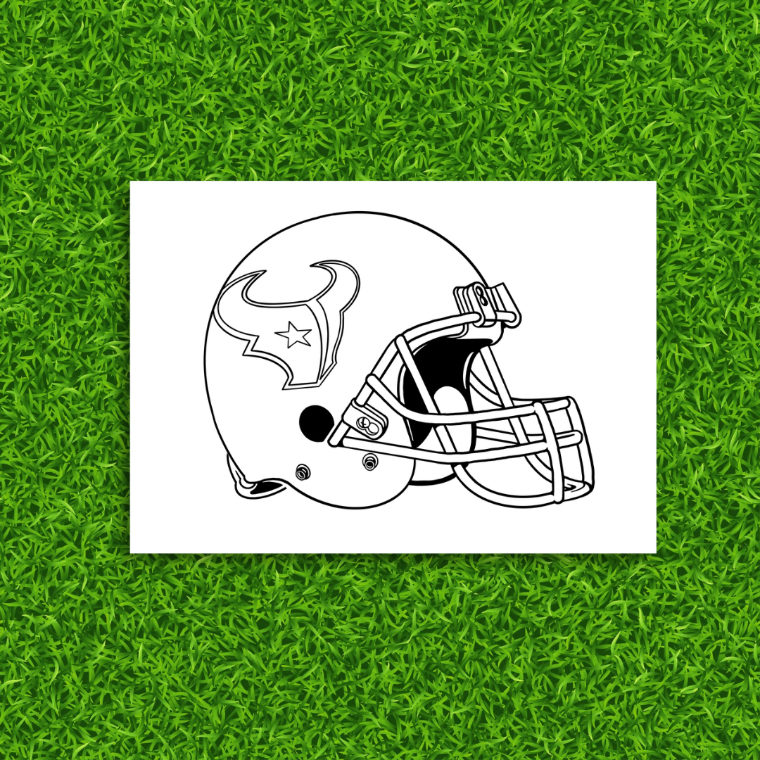 Houston Texans Painting Kit