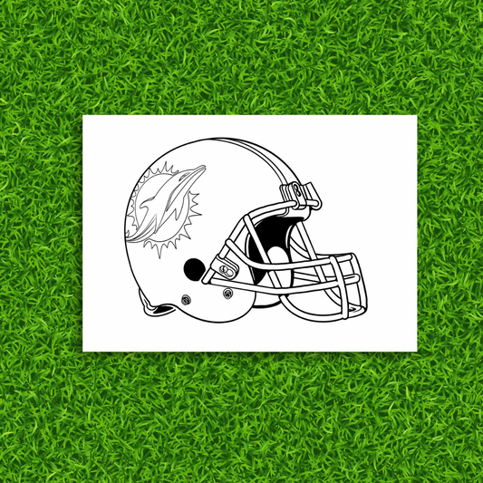 Miami Dolphins Painting Kit