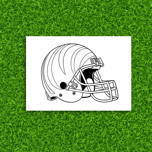 Cincinnati Bengals Painting Kit