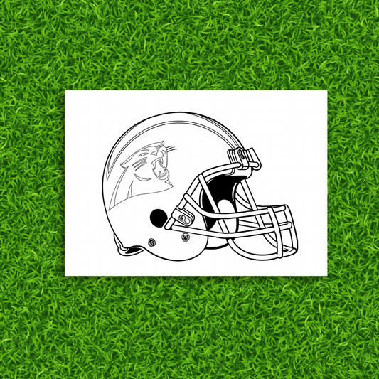 Carolina Panthers Painting Kit